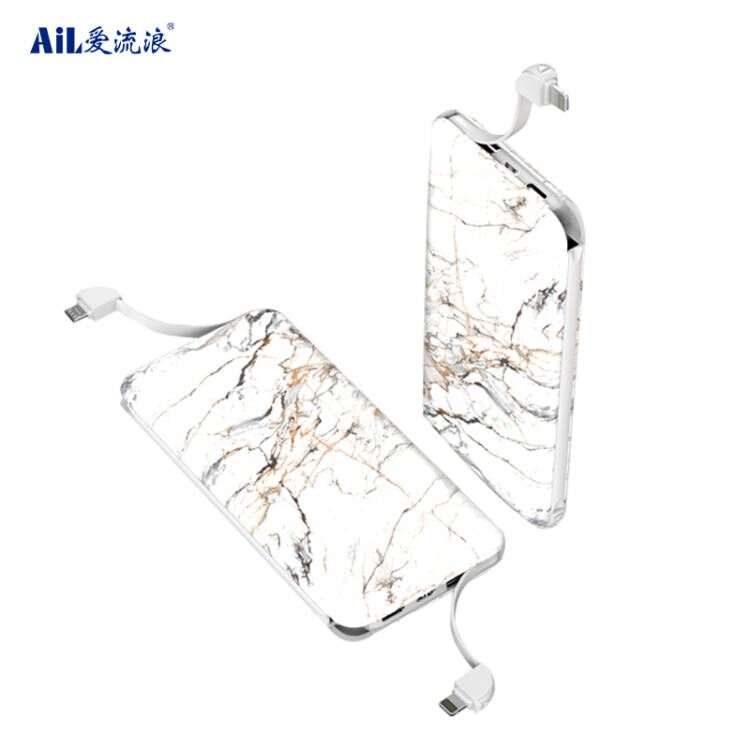 S1020 Multi Cable Charging Power Bank Mobile Charger