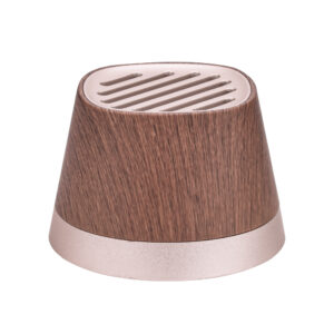 Bluetooth speaker with magnetic charging