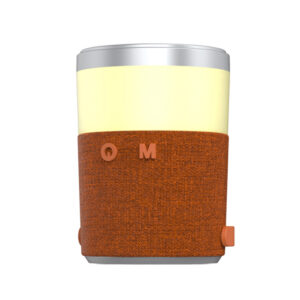 Wireless charging Bluetooth speaker